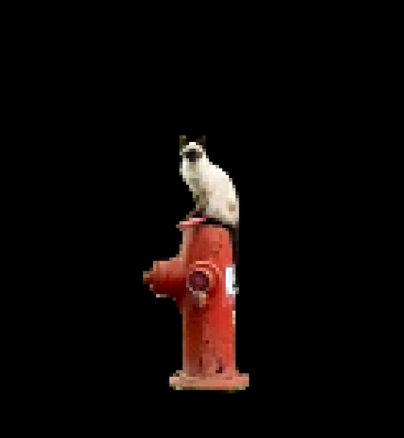 Cat Hydrant